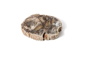 Image description is not available for 2002.4.7